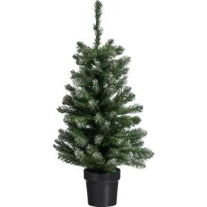 Kwantum Kerstbomen | Kerstboom Fiss Frosted Groen