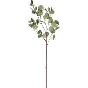 Kwantum Kunstplanten & Kunstbloemen | Kunsttak Eucalyptus Groen