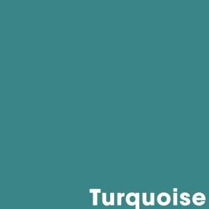 Kwantum Muurverf | Muurverf Mat Turquoise 1 L 1L