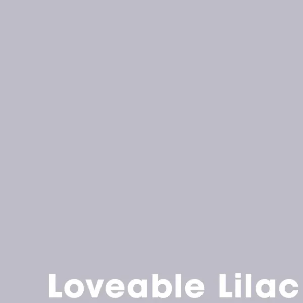 Kwantum Muurverf | Muurverf Professional Loveable Lilac 1 L 1L